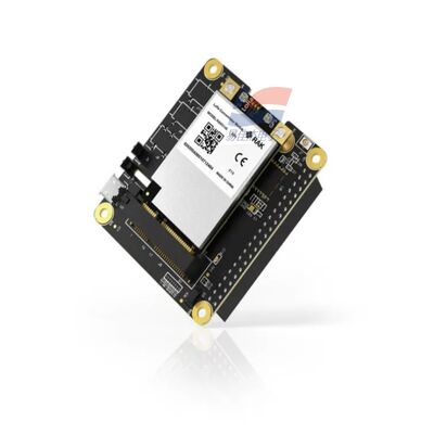 وحدة تركيز YJJ RAK5146 PiHAT مناسبة لـ LoRaWAN لجمع بيانات الاستشعار